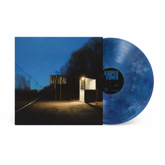 Blue Vinyl Album